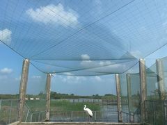 -盐城丹顶鹤湿地生态旅游区