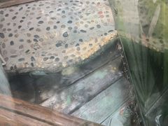 -上海大自然野生昆虫馆(东方明珠·爬宠昆虫探索中心)