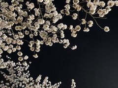 -无锡梅园公园