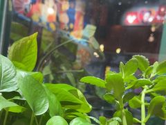 -旺角宝港式茶餐厅(寮步店)