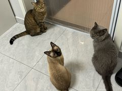 -乌鲁木齐天山国际机场-T3航站楼