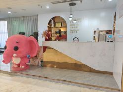 点击看大图 -石家庄苏亚美联臣医疗美容医院