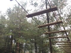 -梦幻奥陶纪景区