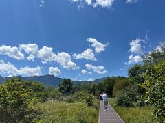 -大九湖