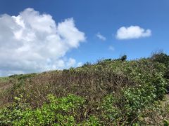 -鹅銮鼻公园