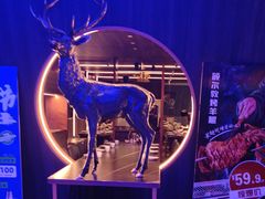 -额尔敦传统涮(公园西路店)