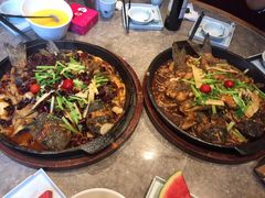 -老板恋上鱼(恒隆广场店)