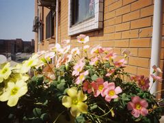 -西南民族大学南区(双流校区)