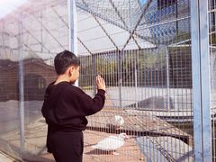 -北京园博大酒店