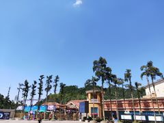 -重庆海昌加勒比海水世界
