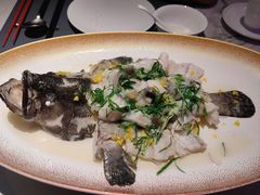 -曼格纳·曼芯馆(杨浦店)