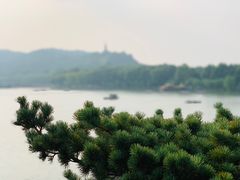 -湖畔居茶楼(湖滨店)