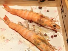 -月龍吟(朝龙汇店)