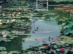 -国家植物园南园