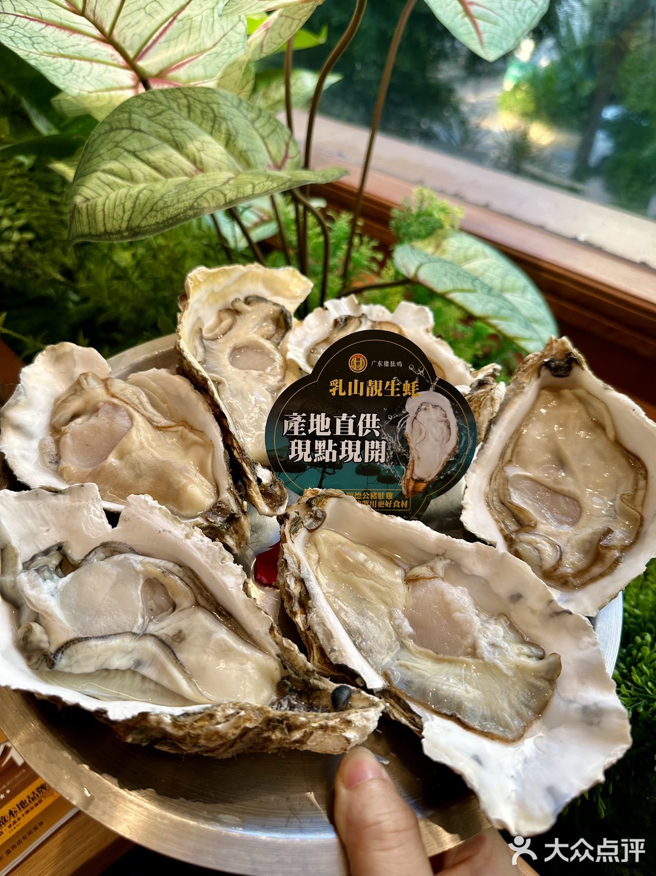 被香港朋友带来吃，唯一的缺点就是深圳只有他家