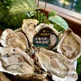 被香港朋友带来吃，唯一的缺点就是深圳只有他家