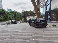 -TESLA 特斯拉(广州天环广场体验店)