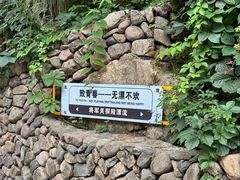 -将军关探险漂流