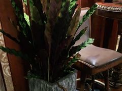 -汤臣海派理疗公馆