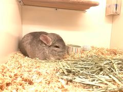 -龙猫仔乐园(惠福东路店)