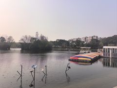 -新江湾城公园