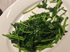 -南堂馆·新川菜(春熙路店)