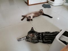 -美迦爱-牙专科·兔科·骨科诊疗中心(北苑店)