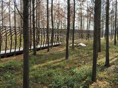 -上海浦江郊野公园-2号停车场