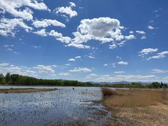 -野鸭湖国家湿地公园