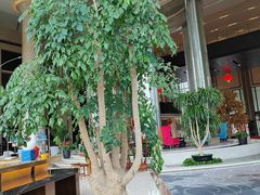 -新都绿城喜来登酒店大堂吧