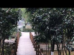 -龙头寺公园