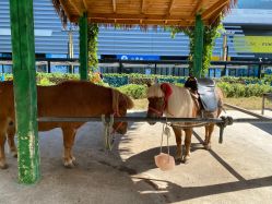 -萌宠亲子动物乐园(槐房万达店)