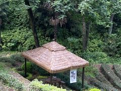 -拾溪餐厅·包厢(杭州千禧度假酒店)