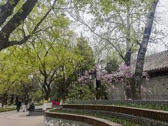 -宣武艺园