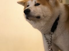 -YCHL Studios健身工作室(市二宫店)