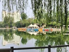 -莲湖公园