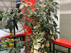 -小街47號江湖菜(四合院店)