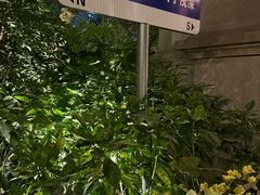-浅深(世茂滨江精品店)