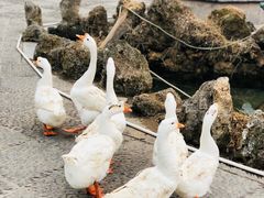 -沕沕水生态风景区