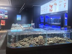 -徐记海鲜(观沙岭|滨江新城店)
