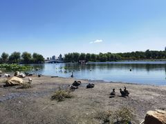 -长春市南湖公园