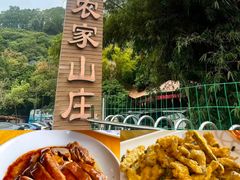 -鲤鱼塘农家山庄