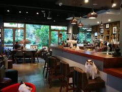 大堂-咖法森林·咖啡  酒吧(天河店)