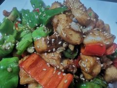 -煲来饱去冷水鱼