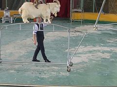 -泉州海丝野生动物世界