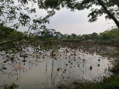 -星湖旅游景区七星岩