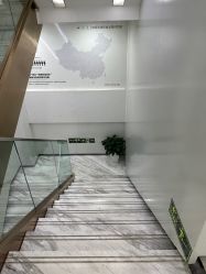 -悟空祛痘·诺奖技术专业店