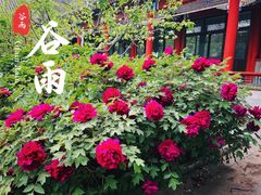 -居庸关长城
