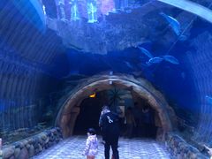 -华夏文旅海洋公园