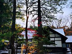 -北海道神宫